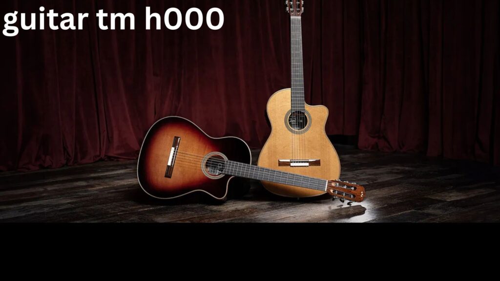 Guitar TM H000